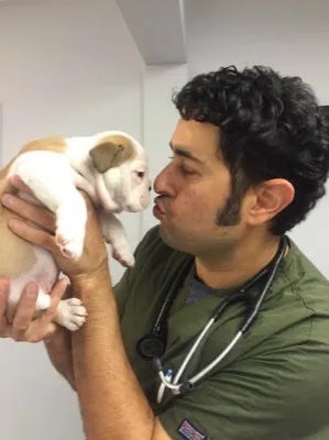 Dr. Ed Berman, Veterinarian and Owner